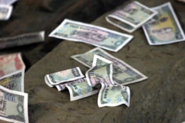 Nhìn thấy 5 vật ngày ngoài đường, thích đến mấy cũng không được nhặt về 