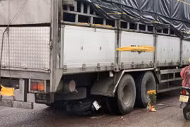 TNGT 3 mẹ con tử nạn ở Phú Yên: Tài xế lùi xe không đúng quy định