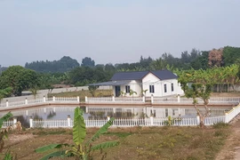 Sai phạm xây dựng ở Hải Dương: Vì sao xã An Thượng chưa quyết liệt…tháo dỡ?