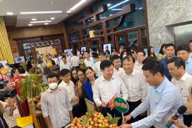 Hải Dương: Đẩy mạnh xúc tiến tiêu thụ vải thiều, người dân phấn khởi...“được mùa, được giá“