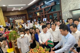 Hải Dương: Đẩy mạnh xúc tiến tiêu thụ vải thiều, người dân phấn khởi...“được mùa, được giá“