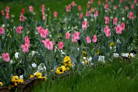  Sinh vào 4 ngày Âm lịch này năm Nhâm Dần phúc khí tràn đầy