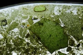 “Thây ma” nửa tỉ năm chui vào lòng Trái Đất