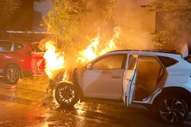 Hai nghi phạm được thuê 5 triệu để đốt ô tô tiền tỷ