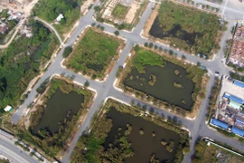 DN trúng đấu giá đất Thủ Thiêm phải nộp 37.364 tỷ trong 90 ngày tới