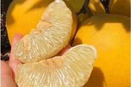 Ăn bưởi, kể cả bưởi ngọt cũng cần tránh sai lầm này