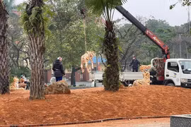 Yêu cầu di dời 5 tượng hổ “dị dạng”, gầy nhom ở thị xã Phú Thọ