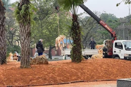 Yêu cầu di dời 5 tượng hổ “dị dạng”, gầy nhom ở thị xã Phú Thọ