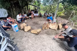 Cận cảnh triệt xóa sòng bạc đá gà giữa đồng nước ở An Giang