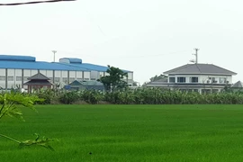 Hải Dương: Mua lại đất nông nghiệp… để xây biệt thự hoành tráng