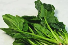Nhắc người bị bệnh dạ dày ăn càng nhiều 5 loại thực phẩm này càng tốt