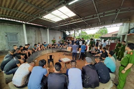 Hải Dương: “Đột kích” trang trại chăn nuôi, phá ổ đá gà 41 đối tượng