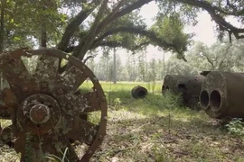 Bí mật đường sắt ngầm, cuộc đào thoát tìm tự do của nô lệ