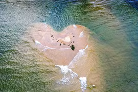 Cồn cát hình trái tim bên chân cầu Cổ Lũy