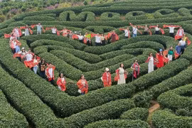 Khảo sát điểm đến, dịch vụ du lịch trên địa bàn Mộc Châu