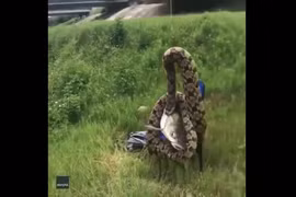 Video: Kéo cần câu cá, người đàn ông sửng sốt khi thấy thứ này