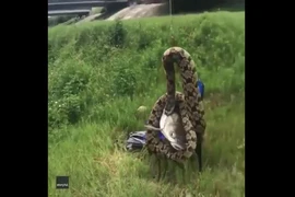 Video: Kéo cần câu cá, người đàn ông sửng sốt khi thấy thứ này