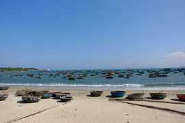 Ngắm bãi biển quyến rũ nhất hành tinh ngay tại Việt Nam