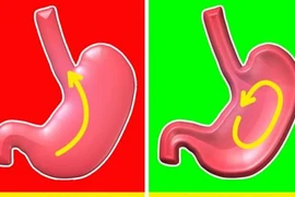 10 lợi ích cho cơ thể khi ngủ bằng gối nằm nghiêng