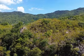 Khám phá vẻ đẹp Khu dự trữ sinh quyển thế giới Núi Chúa