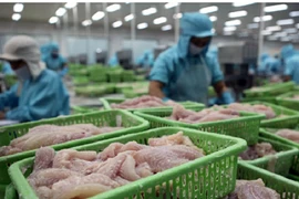 Thị trường lớn hồi phục, cá tra Việt Nam chuẩn bị đón "mùa vàng"