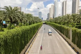 Vách tường phủ kín cây xanh dài hơn trăm mét ở cửa ngõ Hà Nội