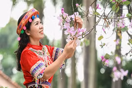 Dự báo thời tiết 28/2: Miền Bắc ngày nắng, đêm lạnh dưới 6 độ