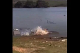 Video: Khoảnh khắc săn rùa độc đáo của hổ