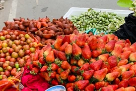 Hoa quả đặc sản tưởng rẻ hóa đắt, loại đắt lại rẻ không tưởng