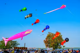 Những cánh diều no gió giữa lòng Tây Đô