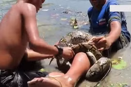 Video: Suýt mất mạng vì bị trăn khổng lồ cuốn chặt khi lội dưới hồ 