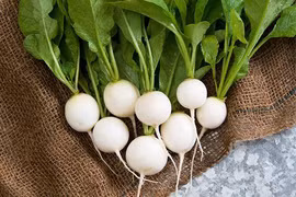 Loại củ rẻ bèo được mệnh danh “nhân sâm của người nghèo”