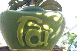 Dưa thư pháp, dừa dát vàng, bưởi hồ lô lạ mắt ngày Tết