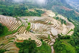 Cao Bồ mùa nước đổ - bức tranh hoang sơ giữa đại ngàn