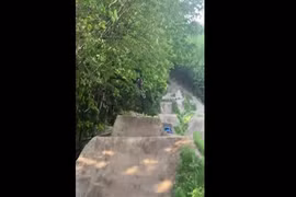 Video: Người đi xe đạp quay đầu tránh gấu đen hoang dã