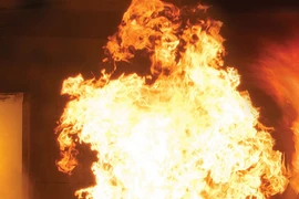 2 người thiệt mạng trong vụ nổ tại nhà máy socola ở Mỹ