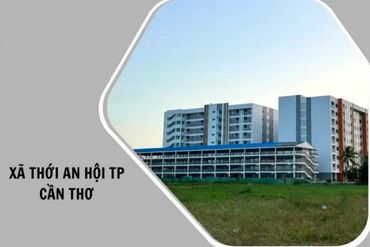 Năng lực đấu thầu của Công ty Xây dựng PHT: Trượt 16 trên 19 gói [Kỳ 2]