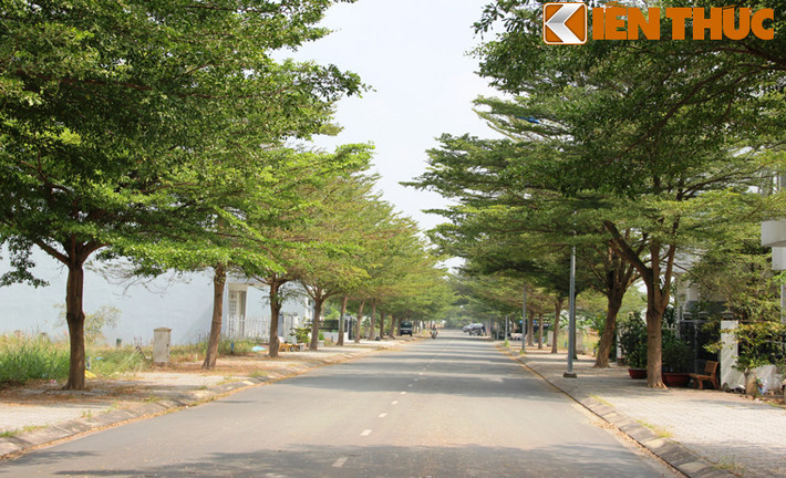 Đây là tuyến đường trong Khu dân cư Gia Hòa sẽ được chọn để đặt tên cố thi sĩ Xuân Quỳnh.