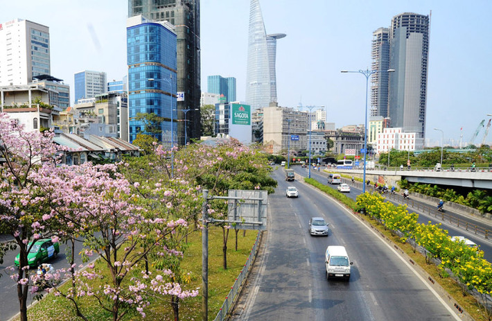 Hoa kèn hồng có nguồn gốc từ châu Mỹ, còn có tên gọi khác là hoa chuông hồng, được trồng thử nghiệm tại TP HCM từ năm 2009.