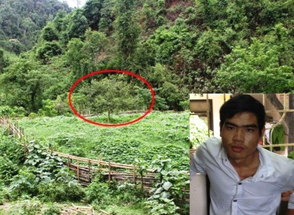 10. Hung thu thảm sát 4 người ở Nghệ An xin được thoát án tử hình Chiều 17/10, ông Trần Ngọc Sơn, phó chánh án TAND tỉnh Nghệ An cho biết tòa đã nhận được đơn kháng cáo của bị cáo Vi Văn Hai. Theo đơn Vi Văn Hai xin cấp phúc thẩm giảm án cho bị cáo xuống mức án chung thân. Trước đó, vào ngày 30/9, tại Trung tâm văn hóa huyện Tương Dương, Nghệ An đã diễn ra phiên tòa xét xử sơ thẩm lưu động đối với bị cáo Vi Văn Hai (SN 1995, trú tại xã Tam Hợp, Huyện Tương Dương, Nghệ An). Hai bị truy tố với tội danh “Giết người”. Kết thúc phiên tòa, HĐXX tuyên án tử hình đối với bị cáo Vi Văn Hai.