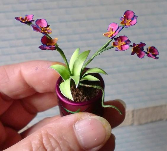 Sự cân xứng của mỗi nhánh hoa tạo nên sự khác biệt. Ảnh: pekevasion.blogspot.com.es.