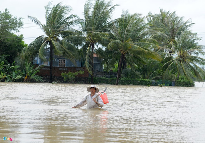 Đến chiều 4/11, mưa lũ còn ngập sâu, cô lập nhiều khu dân cư ở huyện Tuy An (Phú Yên).