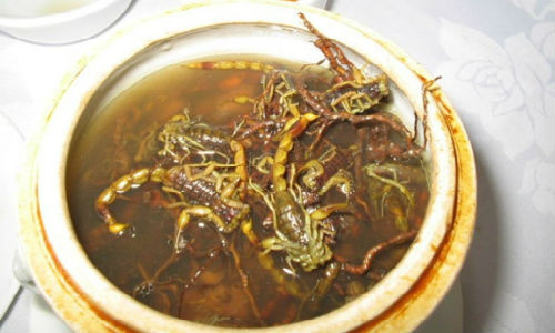 Món súp bọ cạp của người Trung Quốc được coi là một trong những món súp kinh dị nhất thế giới.