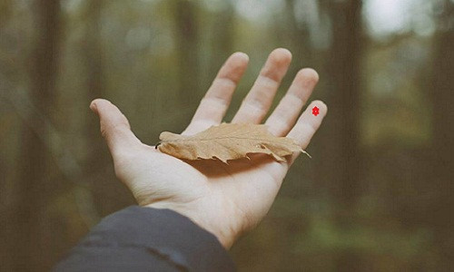 Ngôi sao xuất hiện trên đầu ngón tay út là người có tài về khoa ngôn ngữ. Họ dễ dàng thuyết phục người khác bằng khả năng ăn nói của mình.