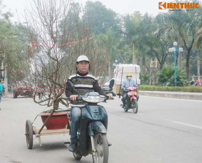 Càng vào những ngày cận Tết Nguyên Đán, không khí mua sắm cây cảnh của người dân lại càng trở nên náo nhiệt và nhộn nhịp.