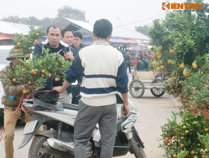 Ghi nhận của Kiến Thức ngày 18/1 cho thấy, hiện đã có rất đông người dân đến ngắm, mua cây cảnh về chơi Tết.