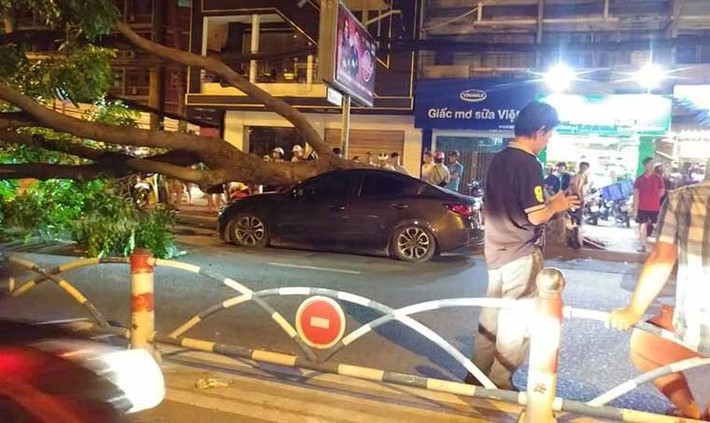 Trước đó, khuya ngày 2/7, một người đàn ông khi đang lái ô tô lưu thông đến ngã 3 Cách Mạng Tháng 8 - Bùi Thị Xuân (phường Bến Thành, quận 1) cũng bất ngờ bị cây xanh bật gốc, ngã đè lên xe.