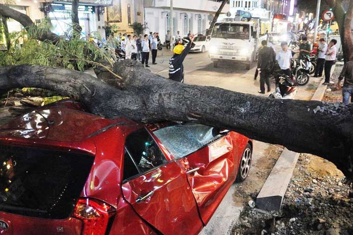 Vô cùng may mắn khi thời điểm xảy ra vụ việc, 2 người trên ô tô đã kịp phản ứng và nhanh chóng xuống xe trong tình trạng tinh thần hết sức hoảng loạn.