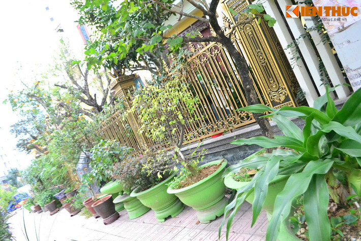 ... cùng hàng loạt chậu cây cảnh bao quanh dưới chân hàng rào như để tạo sự phân cách giữa không gian ồn ào bên ngoài với sự tĩnh lặng, mát mắt bên trong khu biệt thự.