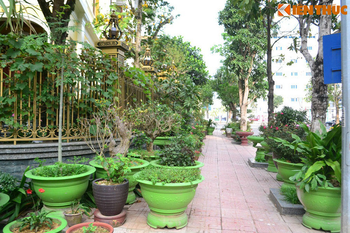 Đặc biệt, điểm nhấn chính là bên ngoài căn biệt thự với rất nhiều cây leo trên hàng rào...